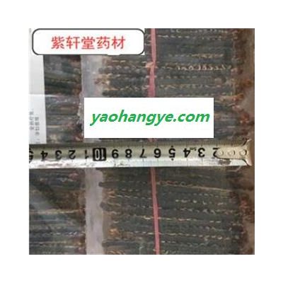 蜈蚣 蜈蚣小条选货10-12cm 产地 广西壮族自治区