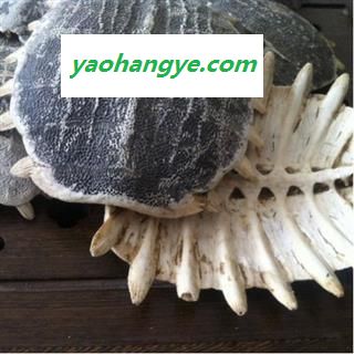 鳖甲  精品手选货 整个无碎块 没有杂质 去肉干净 好货 不掺骨头 产地 山东省图1