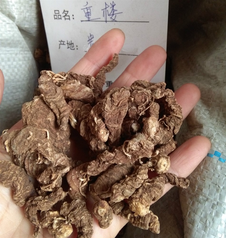 贵州重楼2_meitu_4.jpg