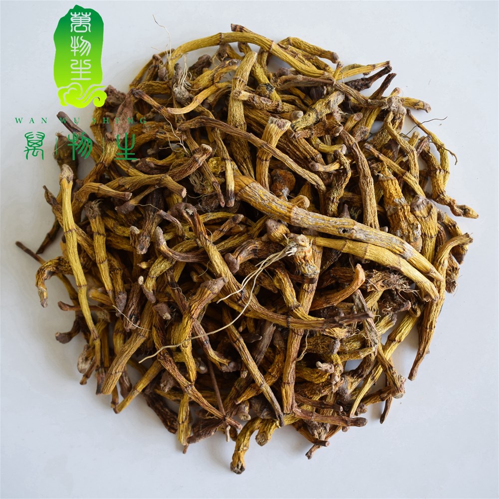 石斛丁条1.JPG