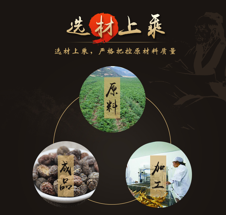 砂仁3.jpg