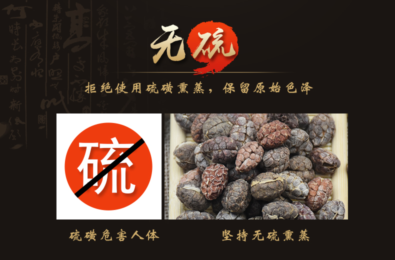 砂仁4.jpg