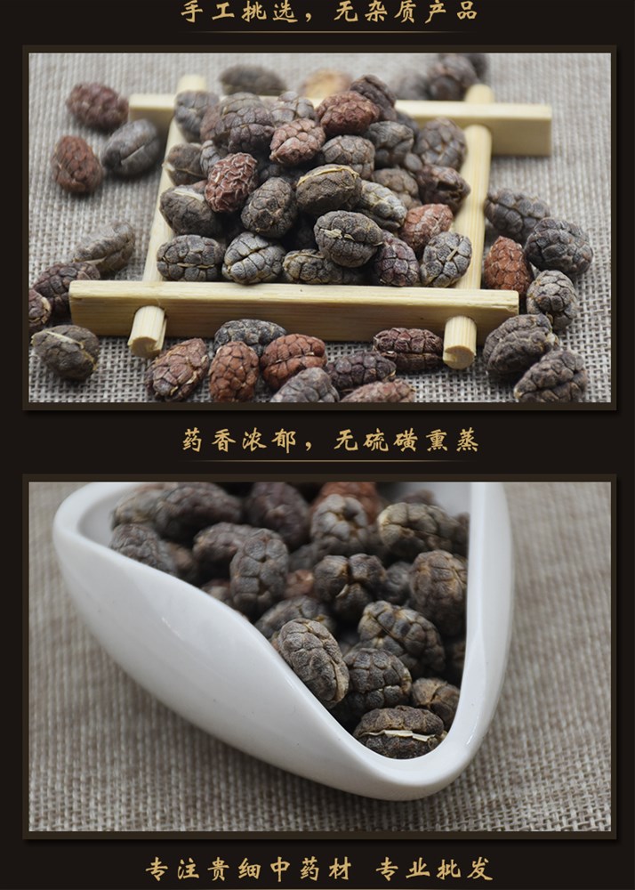 砂仁6.jpg