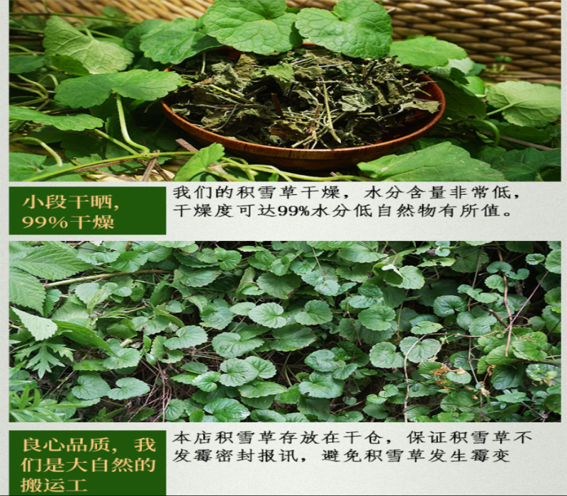 QQ截图20190916120906.png