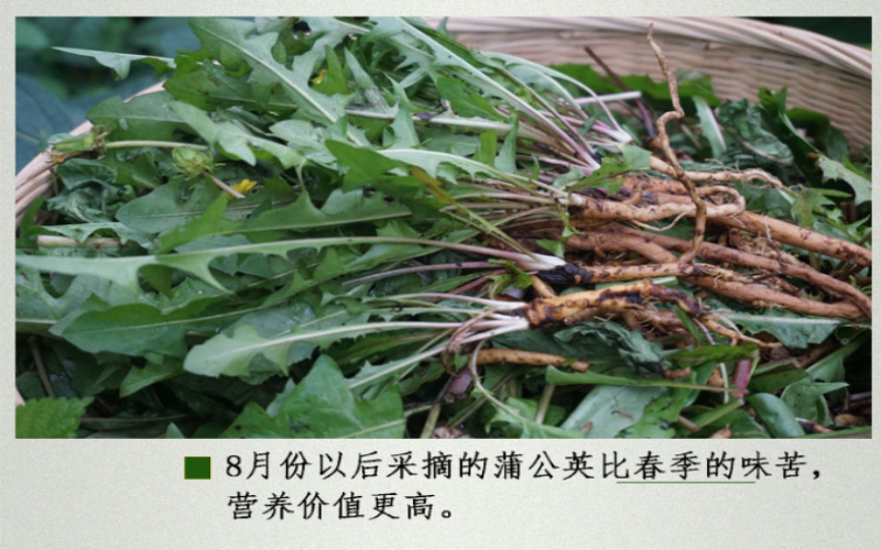QQ截图20190912181106.png