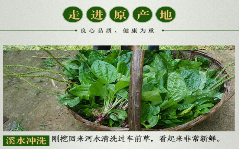 QQ截图20190914151904.png