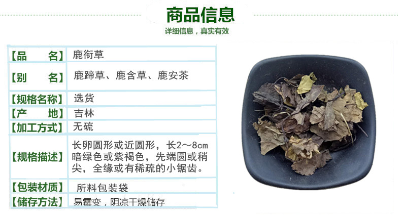 鹿衔草2.jpg