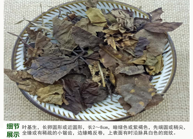 鹿衔草4.jpg