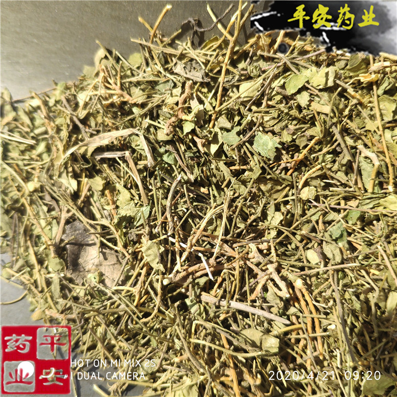 瓜子金段70康~06_副本.jpg
