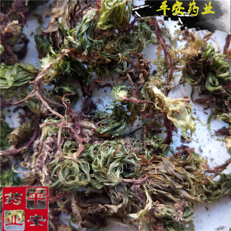 回心草180奇_副本.jpg