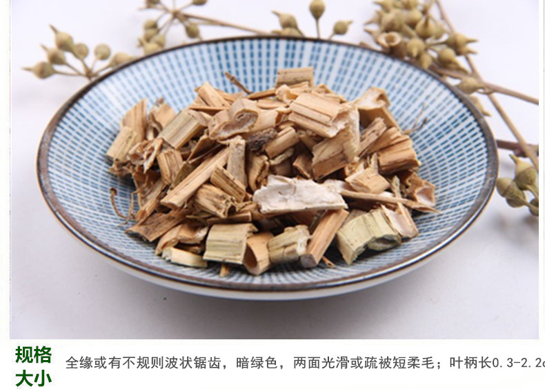 龙葵5.jpg