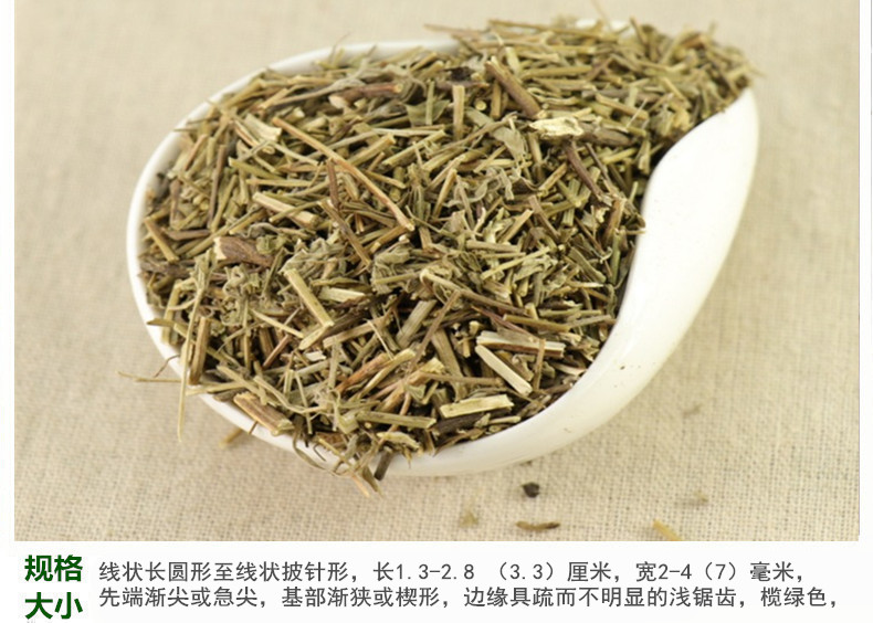 香薷草5.jpg