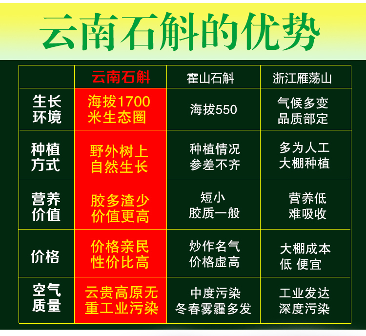 石斛17.jpg