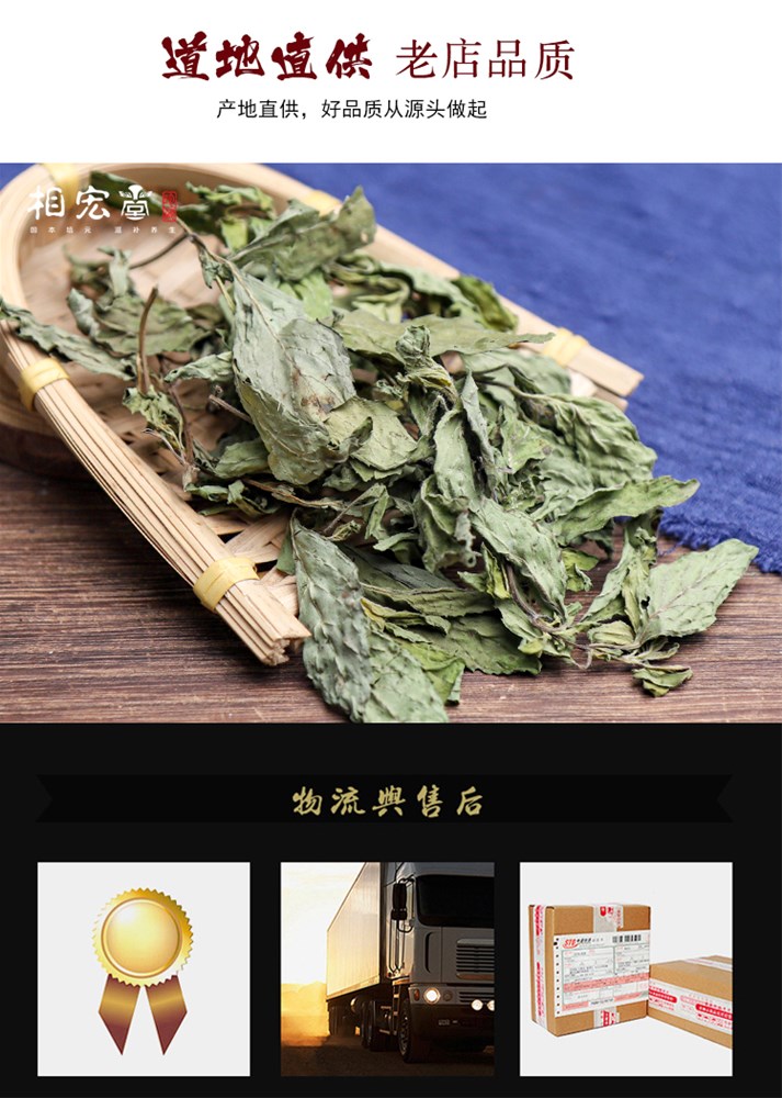 薄荷叶5.jpg