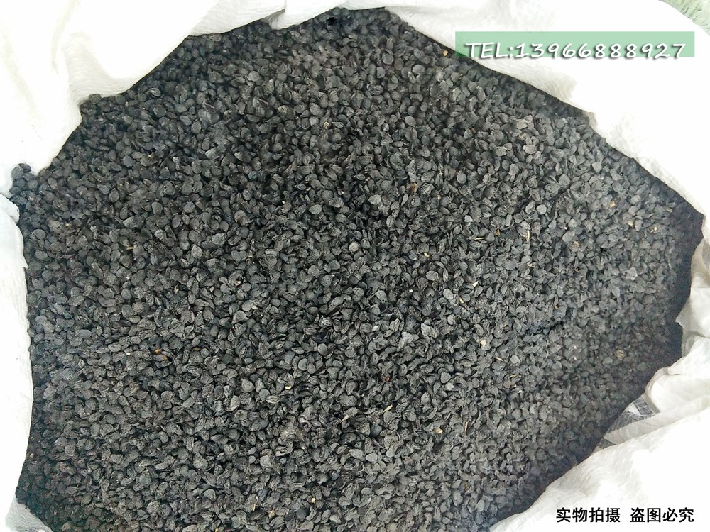 韭菜子籽  38.jpg