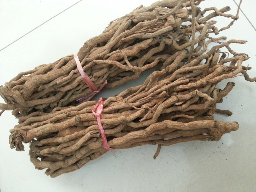 山胡椒根.jpg