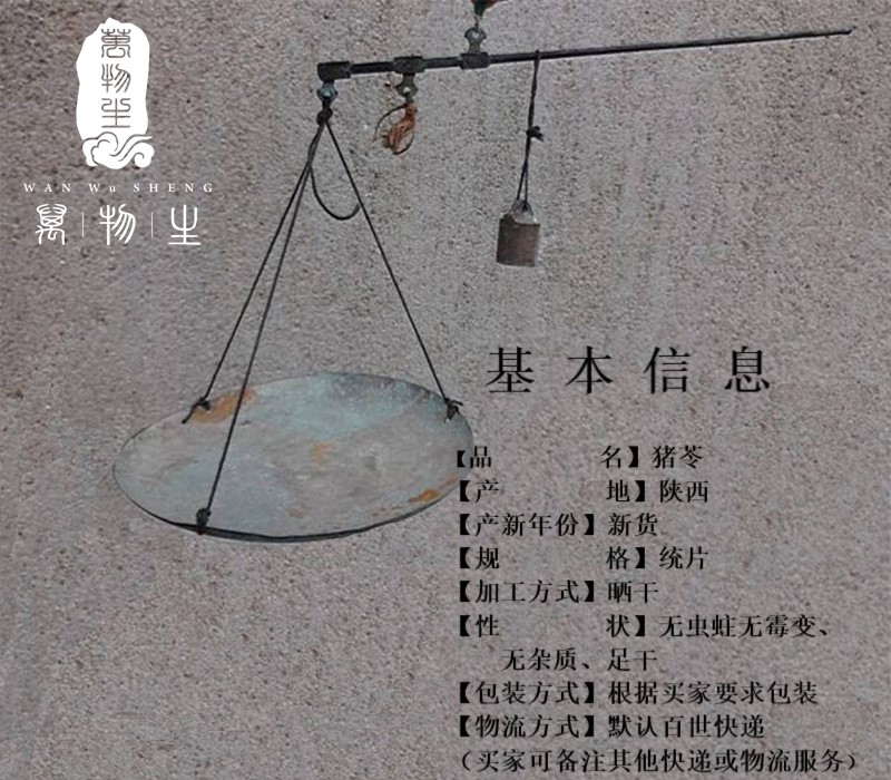 猪苓.jpg