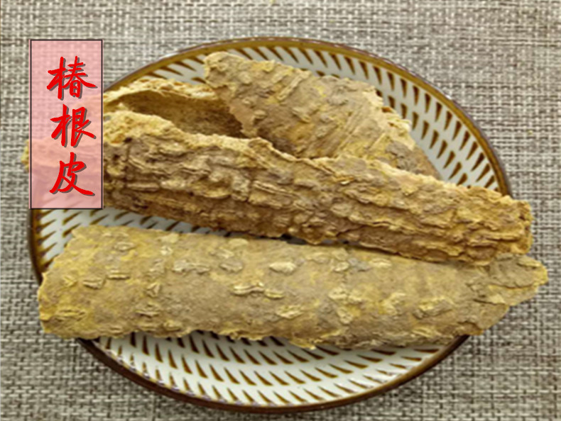 椿根皮1.jpg