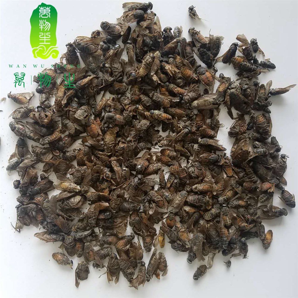 虻虫统货2.jpg