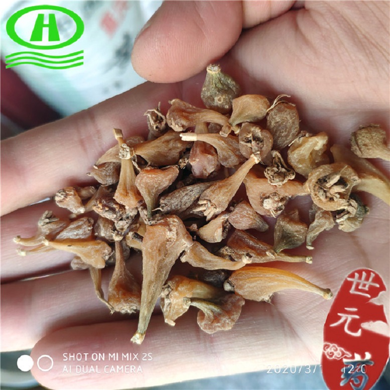 云南冰球子大厅南1700~17_副本1.jpg