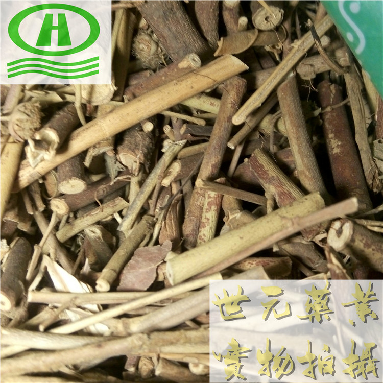 破壁灵芝孢子.jpg