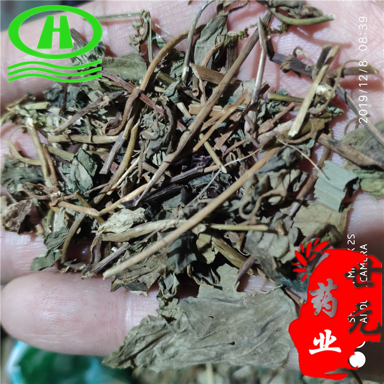 肺形草肺型草飞行草35高~03_副本.jpg