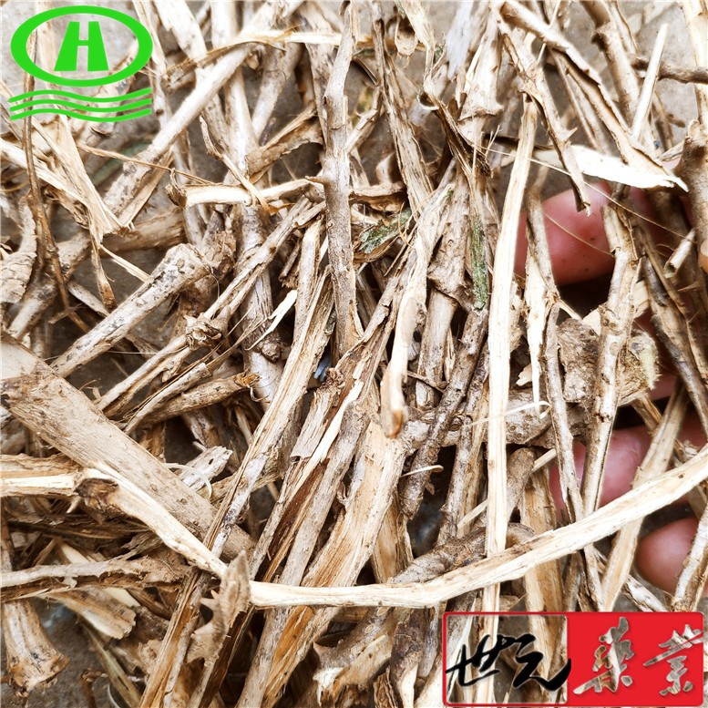 自然色山西丹参圆片18统片~09_副本.jpg