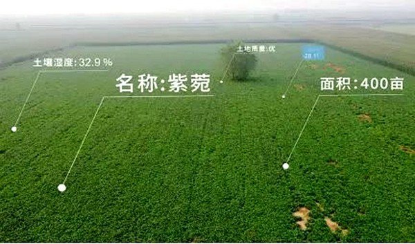 点击查看原始图片